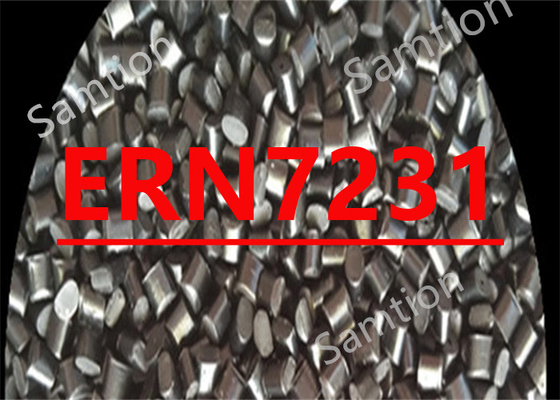 S-Plastic Noryl ERN7231 est utilisé