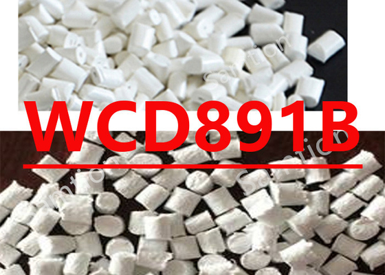 S-Plastic Noryl WCD891B